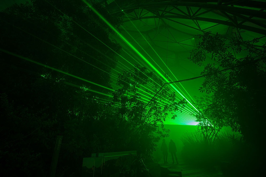 1km All Weather Green Laser Bird Repellent Show results