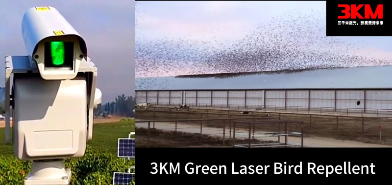 1km All Weather Green Laser Bird Repellent test video